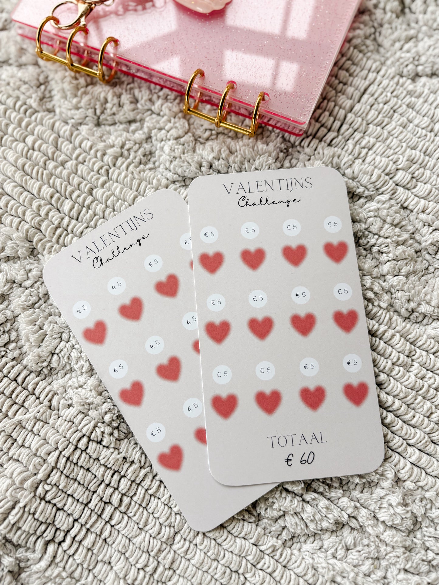 A6 Spaarchallenge - Valentijn (ritszakjes)